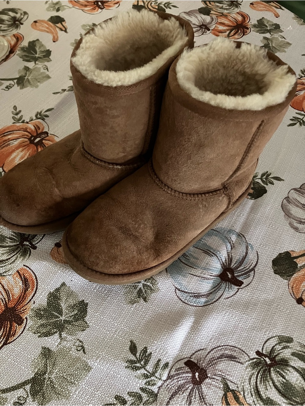 UGG Kids Short Boots in Chestnut Brown Size 3